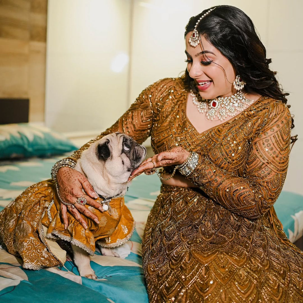 dog lehenga