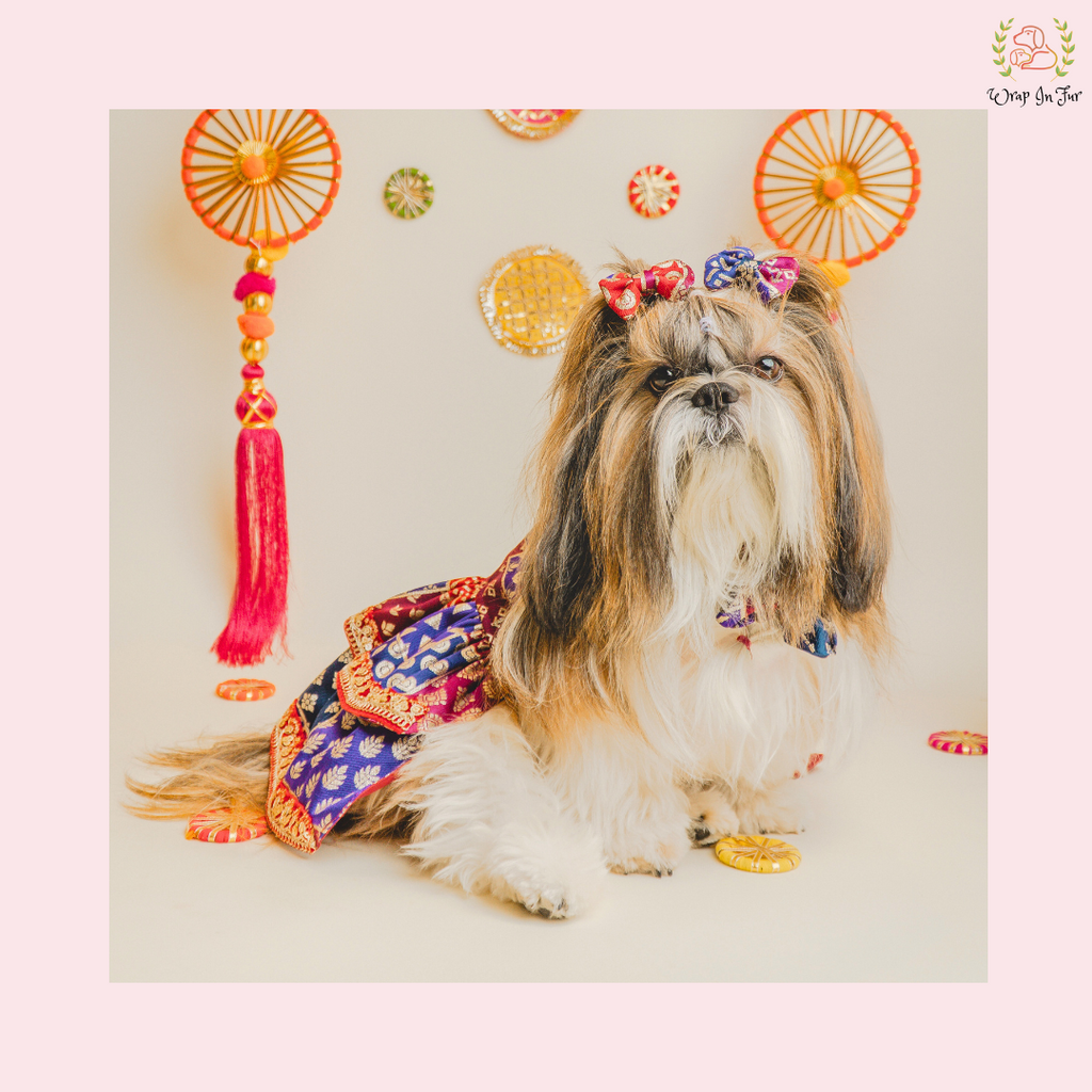 Desi Wedding Dog Dress – Ethnic Dog Bridal Outfit for Functions