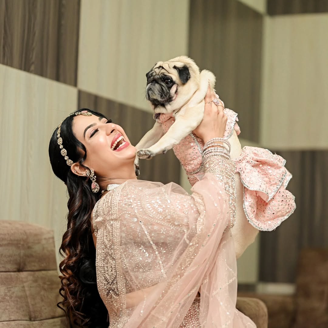 Lehenga for Dogs