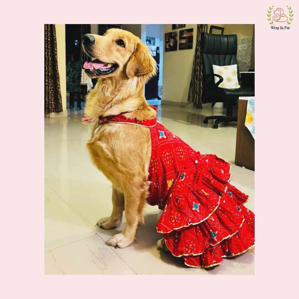 Red Bandhani Dog Princess Dress | Premium Dog Wedding Outfit