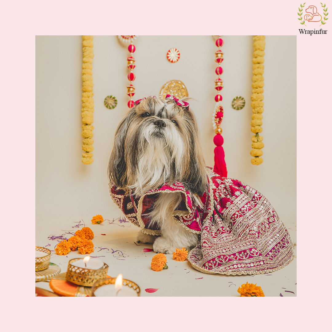 Red Embroidered Dog Bridal Dress - Traditional Lehenga Choli Set