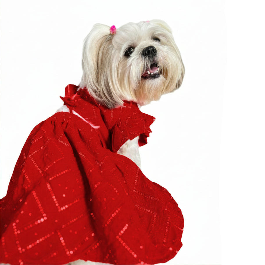 Red Golden Dog Lehenga – Bridal Dog Wedding Dress Outfit