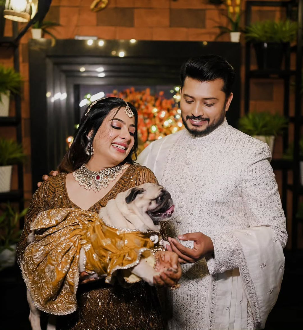 buy online dog lehenga