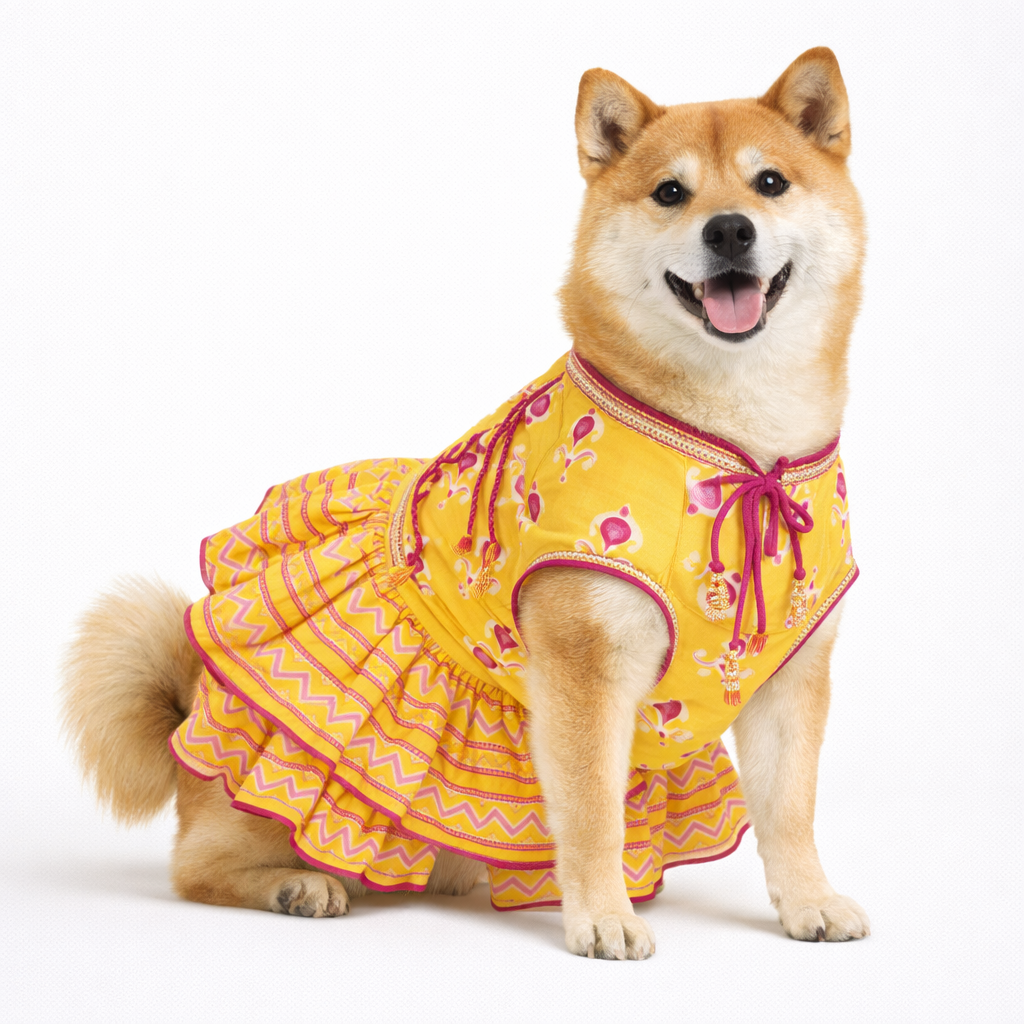 Yellow Ethnic Dog Lehenga Choli – Designer Dog Wedding Dress & Bridal Outfit